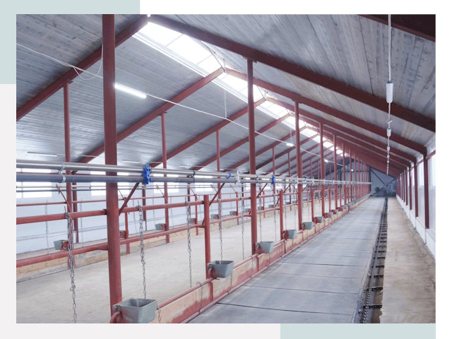 Строительство коровников в Стрежевом от 612 руб.