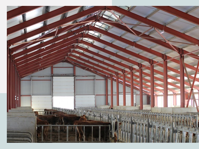 Строительство коровников в Стрежевом