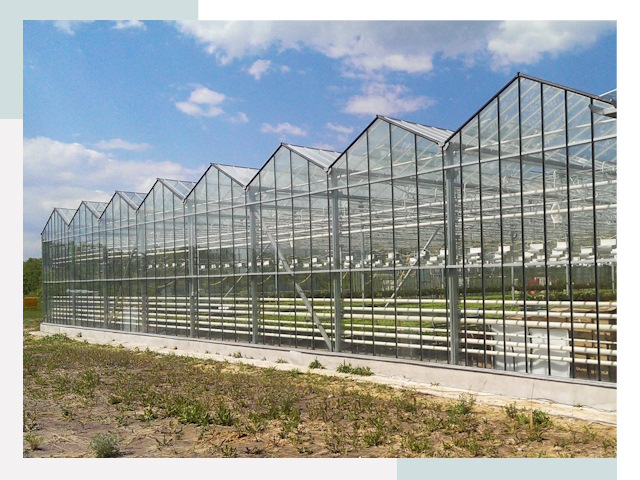 Строительство теплиц в Стрежевой от 612 руб. за м²
